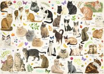 Jumbo legpuzzel Cats 1000 stukjes