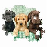 Clementoni High Quality Collection Puzzel Drie Labradors 1000 Stukjes