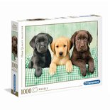 Clementoni High Quality Collection Puzzel Drie Labradors 1000 Stukjes