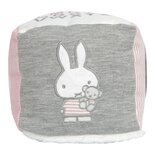 Nijntje Knuffel-Activiteitenkubus Roze/Grijs