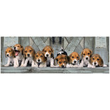 Clementoni High Quality Collection Panorama Puzzel Beagles 1000 Stukjes