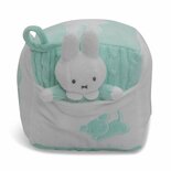 Nijntje Pluche Kubus + Nijntje Knuffel Mint