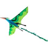 eenlijnsvlieger Flying Dinosaur 3D 180 cm groen