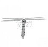 Libelle 3D modelbouwset 10,9 cm
