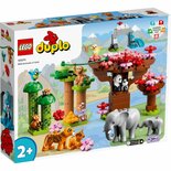 Lego Duplo 10974 Wilde Dieren van Azië + Geluid