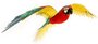 Iconx Parrot Jubilee Macaw modelbouwset_